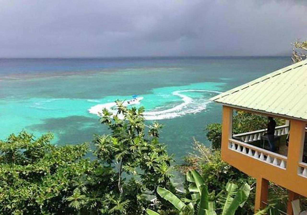 The Villa At Pineapple Cove Boscobel Bagian luar foto